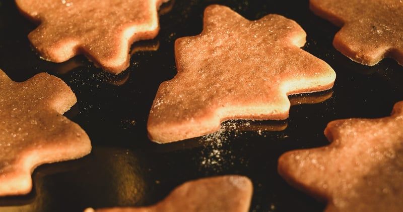10 astuces pour cuisiner sans four en petite cuisine