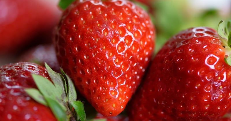 Transporteur de produits frais : 5 critères pour que vos desserts arrivent intacts